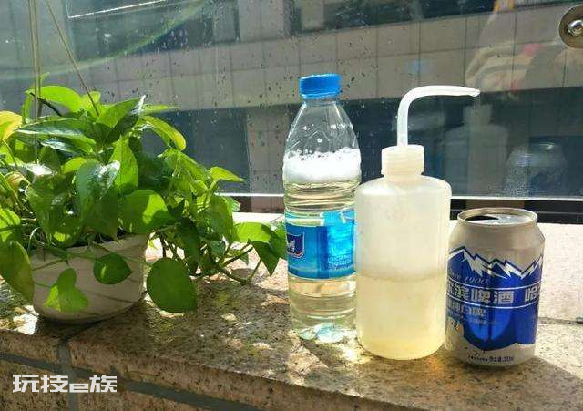 什么花喜欢啤酒浇花(3种花喜欢用啤酒浇灌)-图片1